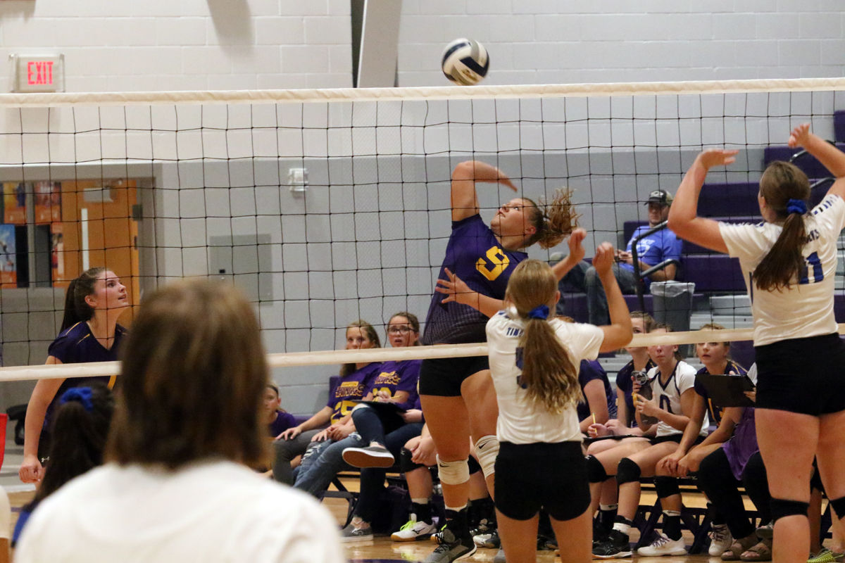 Hampton VB Tri (29).JPG